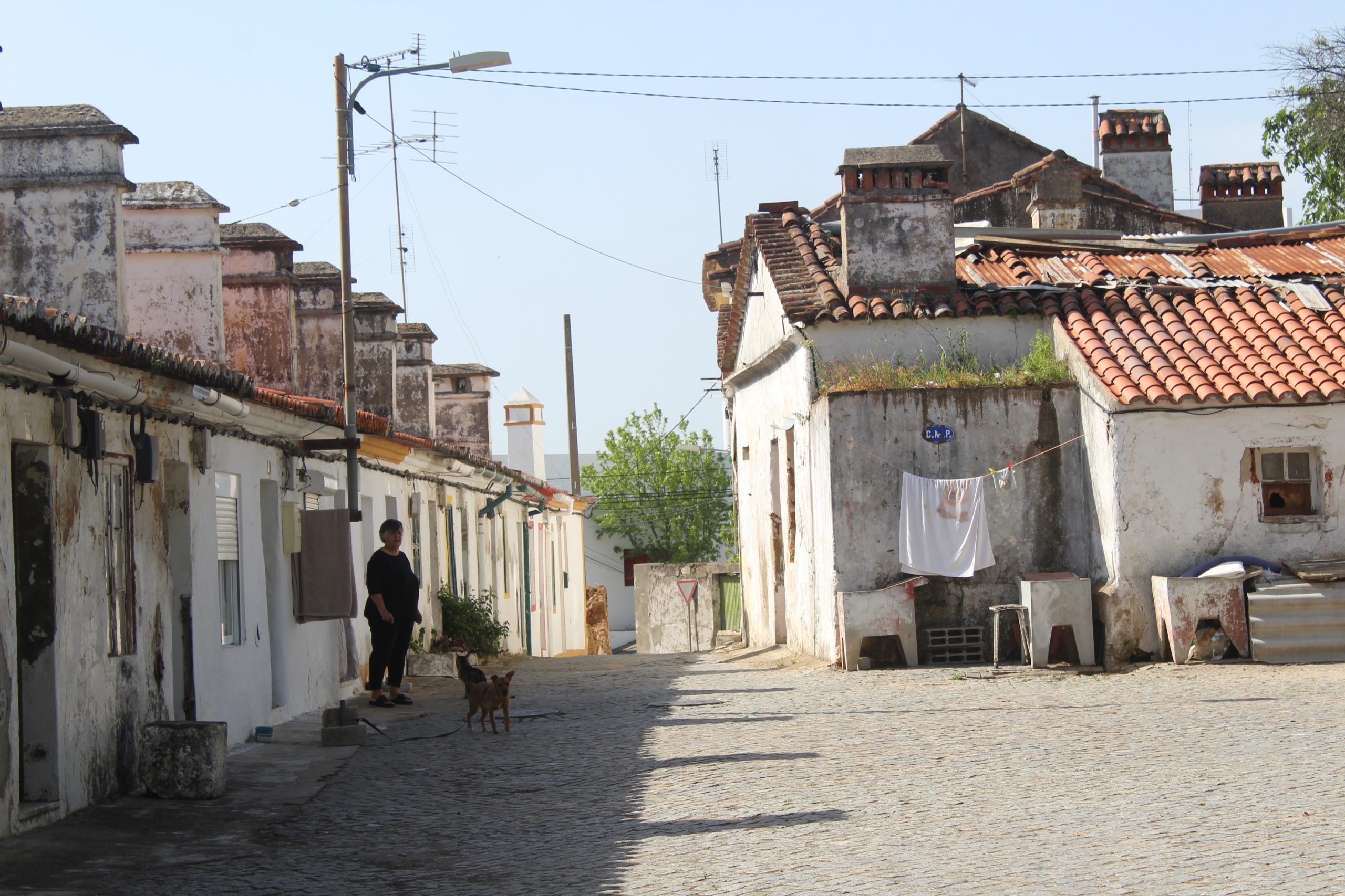 Vila Nova: O Bairro que o Tempo Não Apagou